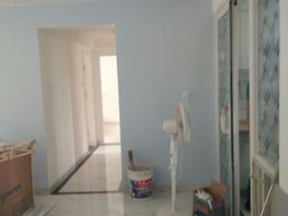 墙、顶面乳胶漆