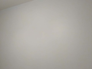 墙、顶面腻子批嵌