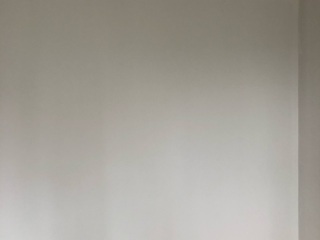 墙、顶面乳胶漆