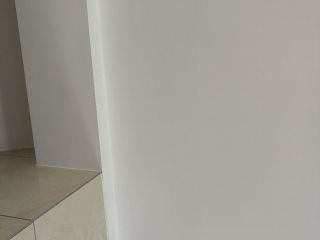 墙、顶面乳胶漆