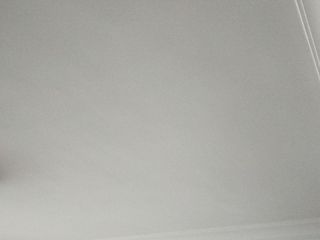 墙、顶面乳胶漆及墙纸铺贴