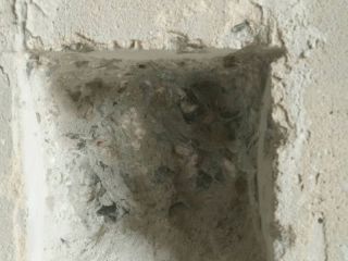 水、电管开槽施作