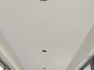 墙、顶面乳胶漆