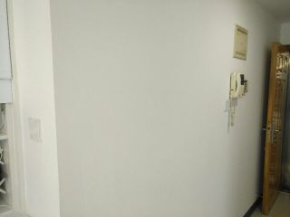 墙、顶面腻子批嵌