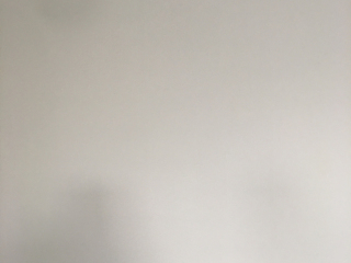 墙、顶面腻子批嵌
