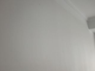墙、顶面乳胶漆