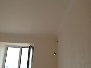 墙、顶面腻子批嵌