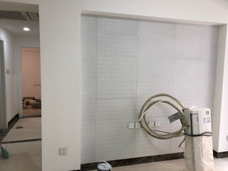 墙、顶面乳胶漆