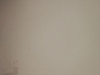 墙、顶面腻子批嵌
