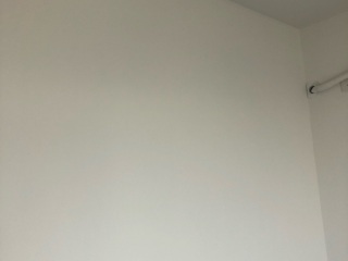 墙、顶面乳胶漆