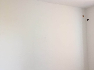 墙、顶面乳胶漆