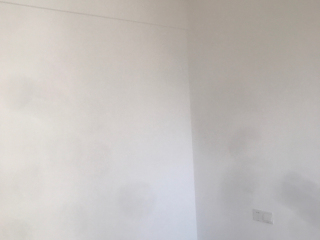 墙、顶面乳胶漆