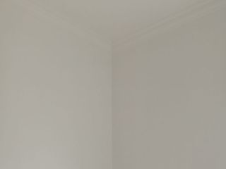 墙、顶面乳胶漆