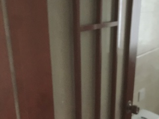 成品门及墙纸铺贴