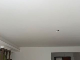 竣工验收
