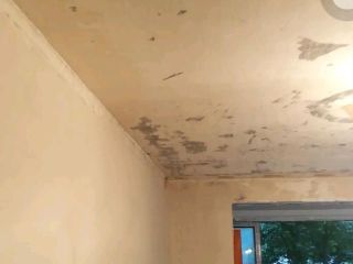 墙、顶面腻子批嵌