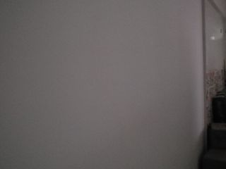 墙、顶面腻子批嵌