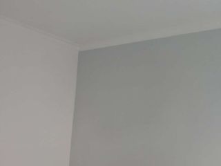 墙、顶面乳胶漆