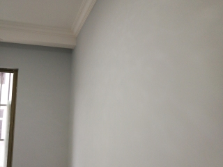 墙、顶面乳胶漆