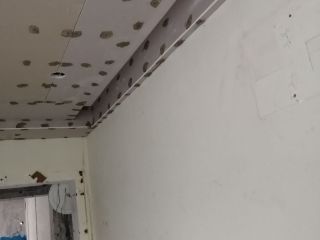 墙、顶面腻子批嵌