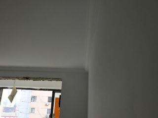 墙、顶面乳胶漆