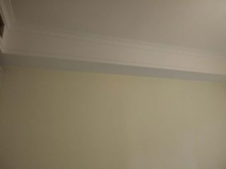 墙、顶面乳胶漆