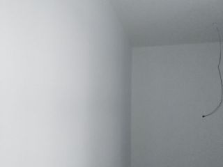 墙、顶面乳胶漆