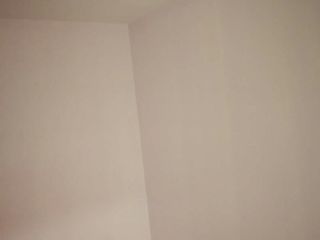 墙、顶面乳胶漆
