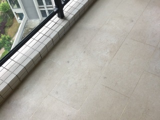 日常巡检