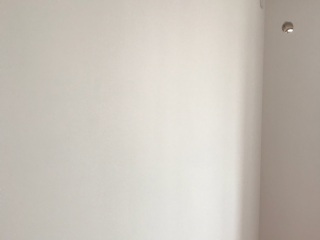 墙、顶面乳胶漆