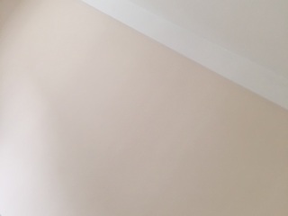 墙、顶面乳胶漆