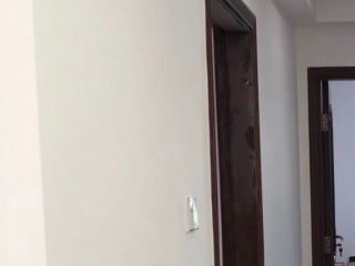 墙、顶面乳胶漆