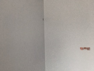 墙、顶面乳胶漆