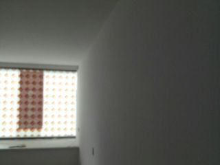 墙、顶面腻子批嵌