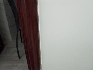 墙、顶面腻子批嵌
