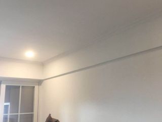 墙、顶面乳胶漆