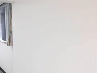 墙、顶面乳胶漆