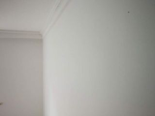 现场木制品造型施作