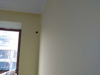 墙、顶面腻子批嵌