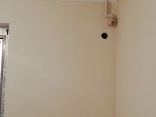 墙、顶面乳胶漆