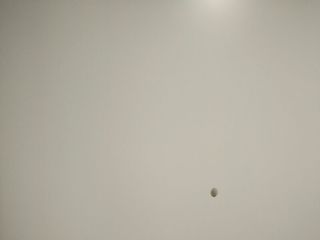 现场木制品造型施作