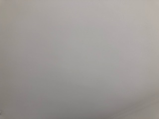 墙、顶面乳胶漆