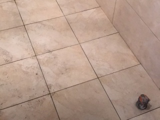 实木复合地板铺设