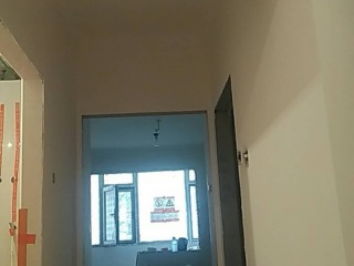 墙、顶面腻子批嵌