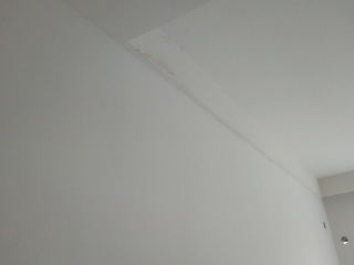 墙、顶面腻子批嵌