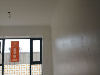 墙、顶面乳胶漆