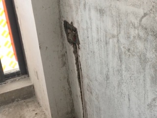 日常巡检