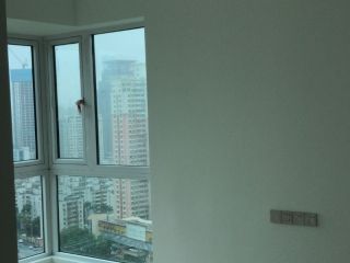 墙、顶面乳胶漆