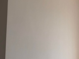 墙、顶面乳胶漆