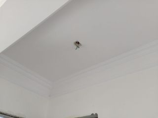 木工吊顶施工